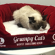 Illustration for article titled I Met Grumpy Cat and It Was Fucking Abysmal